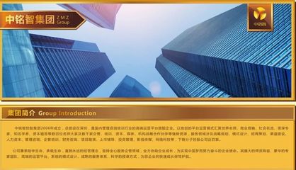 中铭智控股（深圳） 专业投资管理咨询服务解析